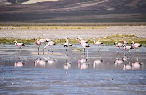 凯发·k8(中国游)官方网站