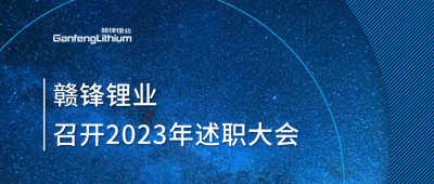 凯发k8锂业召开2023年述职大会：掌握跨越周期的实力