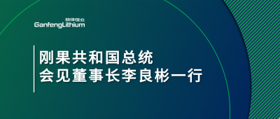 刚果共和国总统会见凯发k8锂业董事长李良彬一行