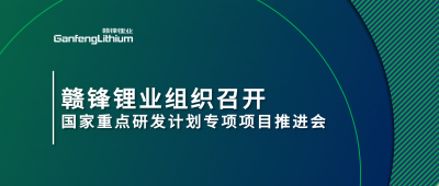 凯发k8锂业组织召开国家重点研发妄想专项项目锂工业集聚区循环化升级集成手艺及树模推进会